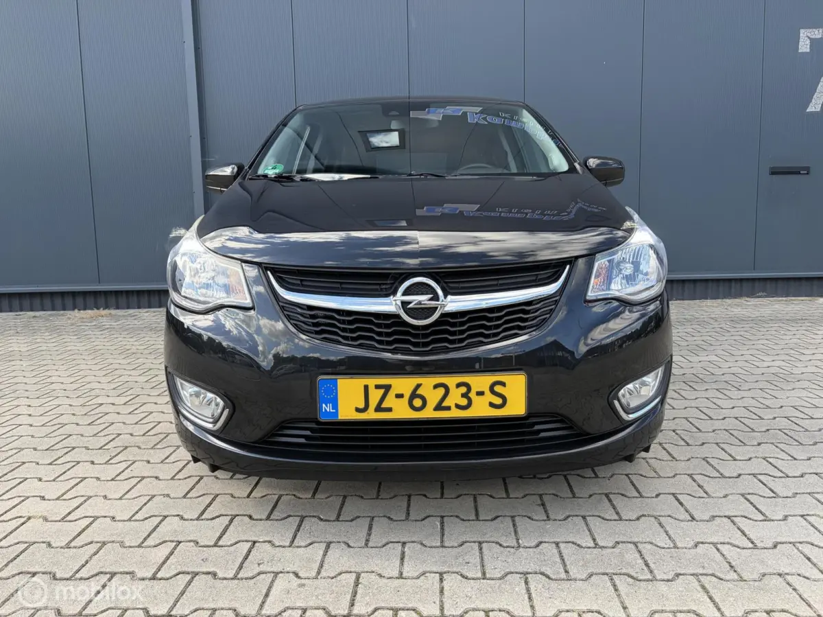 1.0 ecoFLEX Innovation Airco Cruise Pdc Nieuwe Apk