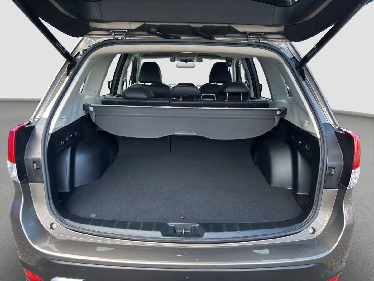 2.0i e-BOXER First Edition | Trekhaak | Panoramdak | Leder | Camera | Adap. Cruise | Apple Carplay