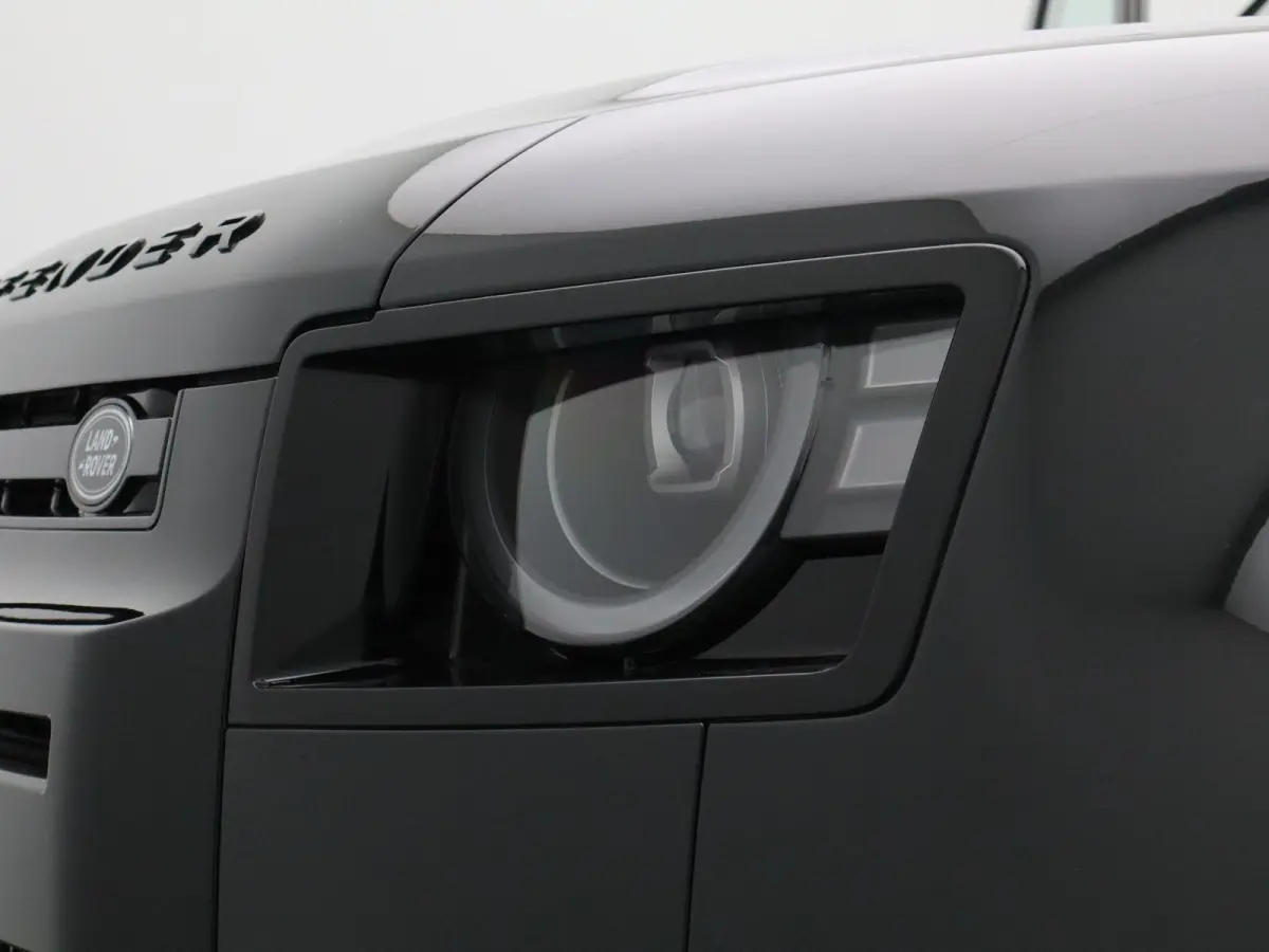 2.0 P300e 110 X-Dynamic HSE | Octa velgen 22" | Black Exterior Pack | Zijtreden | Spatlappen |