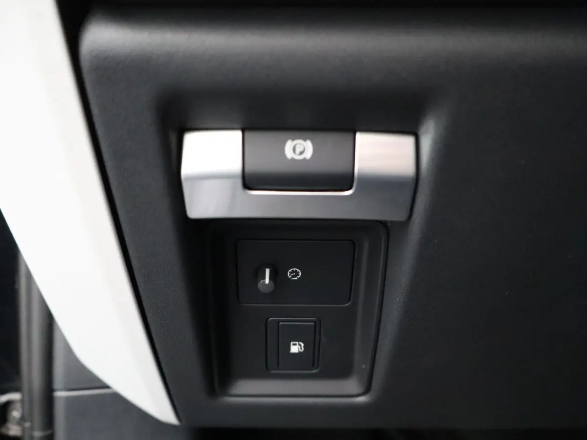 2.0 P300e 110 X-Dynamic HSE | Octa velgen 22" | Black Exterior Pack | Zijtreden | Spatlappen |