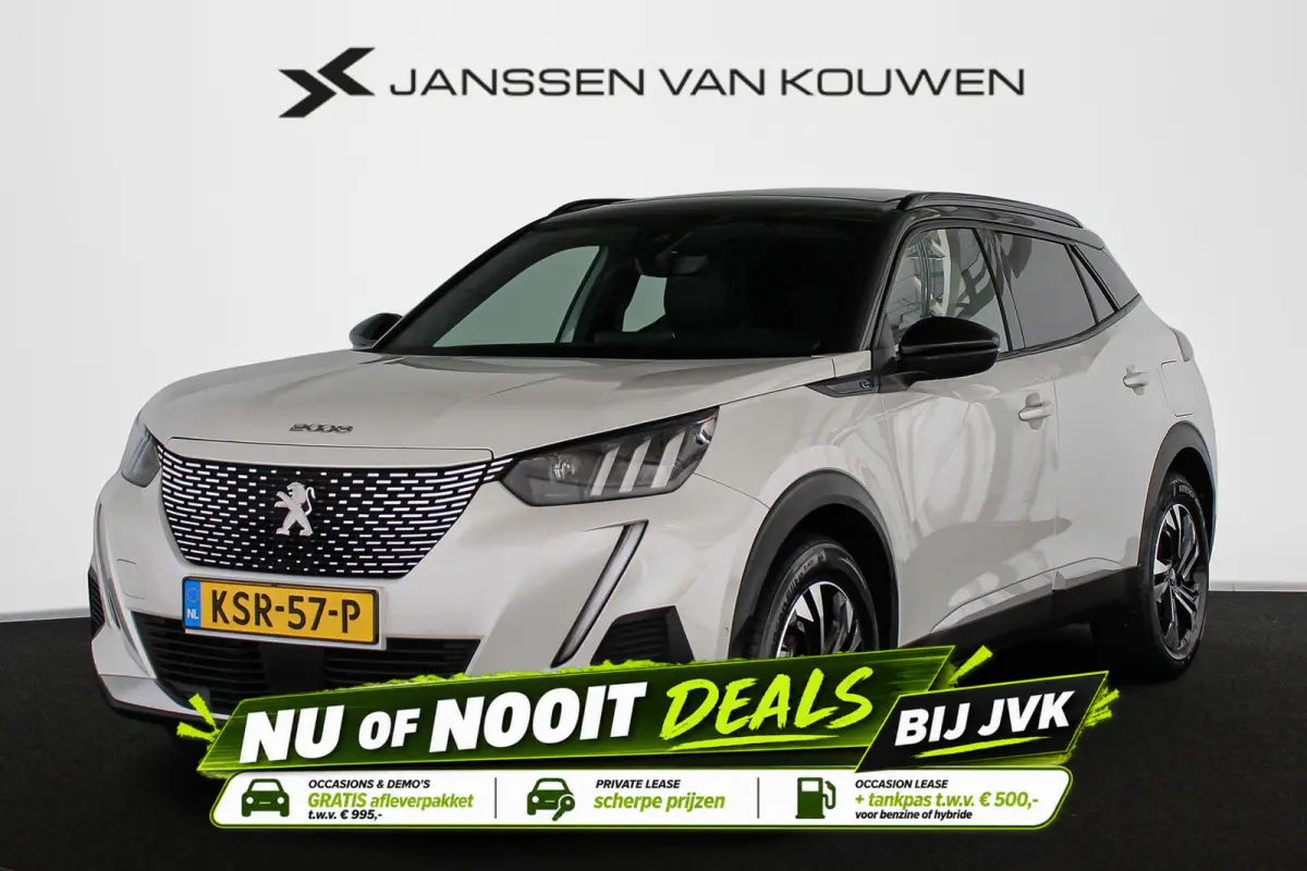 EV GT 50 kWh SOH 100% Panoramadak Stoelverwarming Achteruitrijcamera
