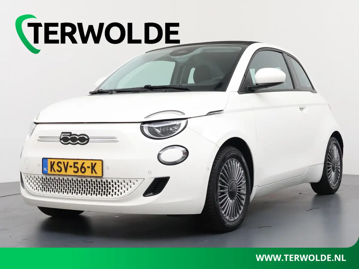 42 kWh | SOH 96,4% | Parkeercamera | Stoel- & Voorruitverw. |