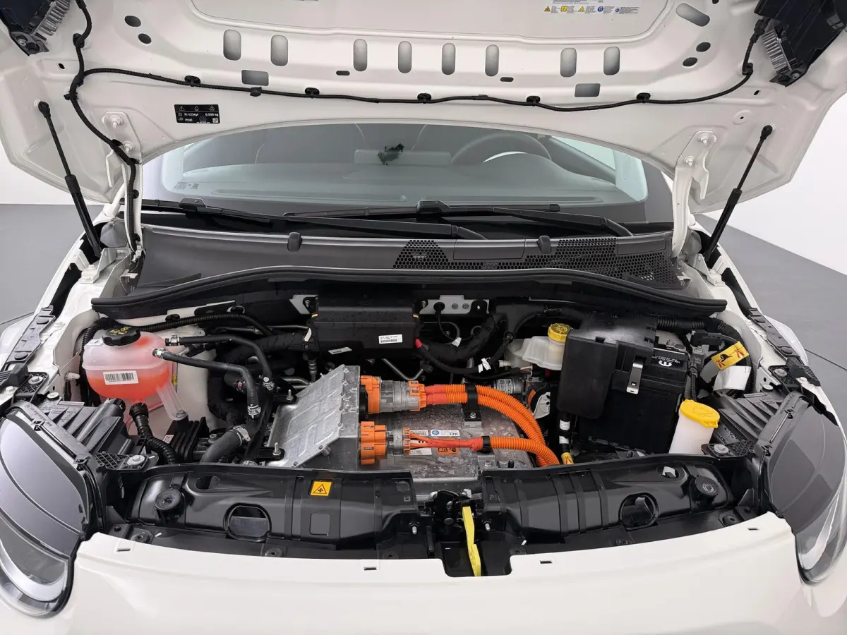 42 kWh | SOH 96,4% | Pack Comfort | Lichtmetalen velgen |