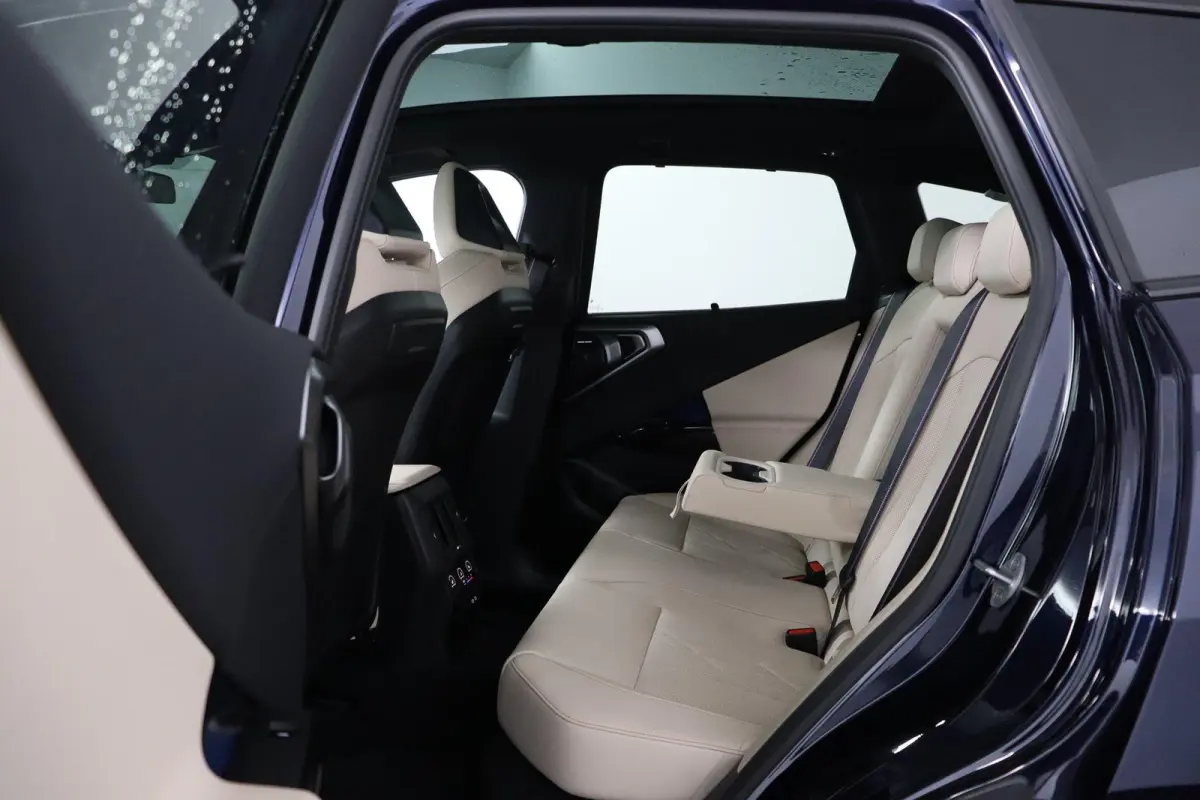 30e xDrive | SOH 100% | M Sport Pro | Panoramadak | Trekhaak | Driv Ass Prof | Harman/Kardon