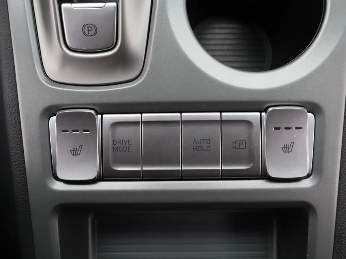 Premium 64 kWh | Achteruitrijcamera | Airco (automatisch) | Bagagedek