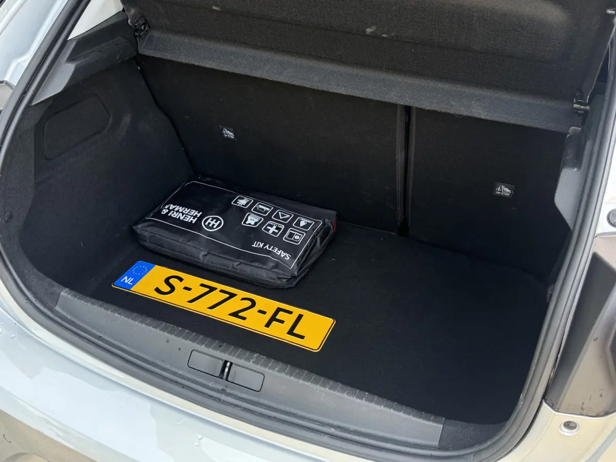 1.2 Level 2 NAP, Carplay, Sensoren