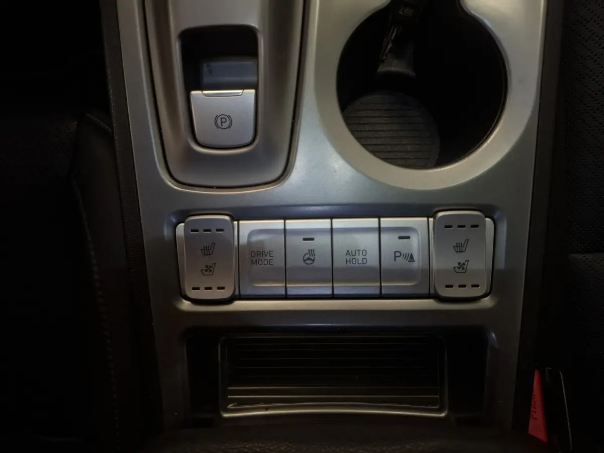 EV Premium 64 kWh Trekhaak 2e Eigenaar SOH 95%