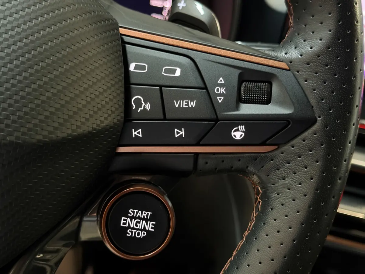 1.4 e-Hybrid VZ Copper|Petrol Blue Matt|Memory|Leder