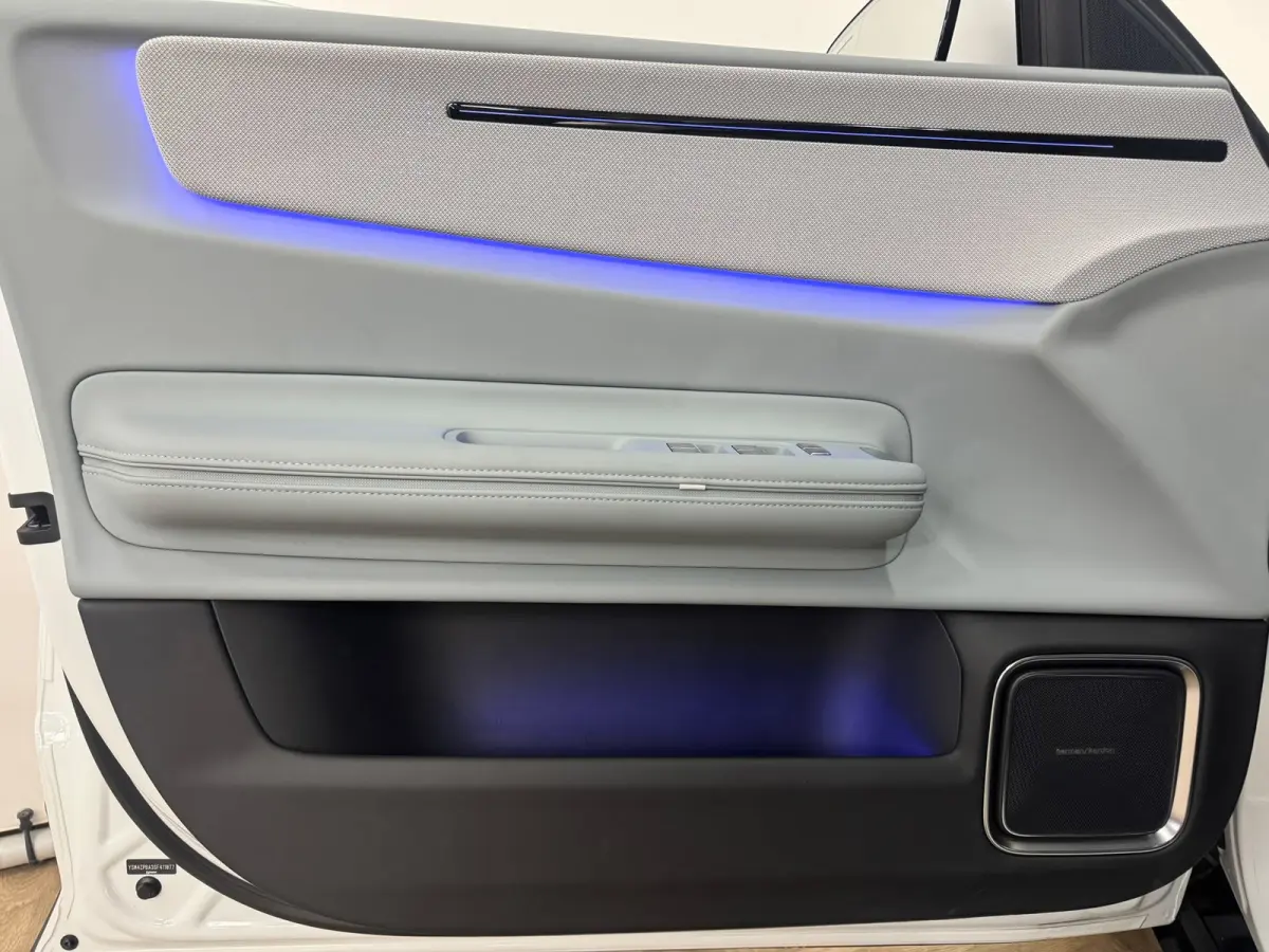 Long Range Single motor 100 kWh|HARMAN/KARDON|SFEER|PANO|