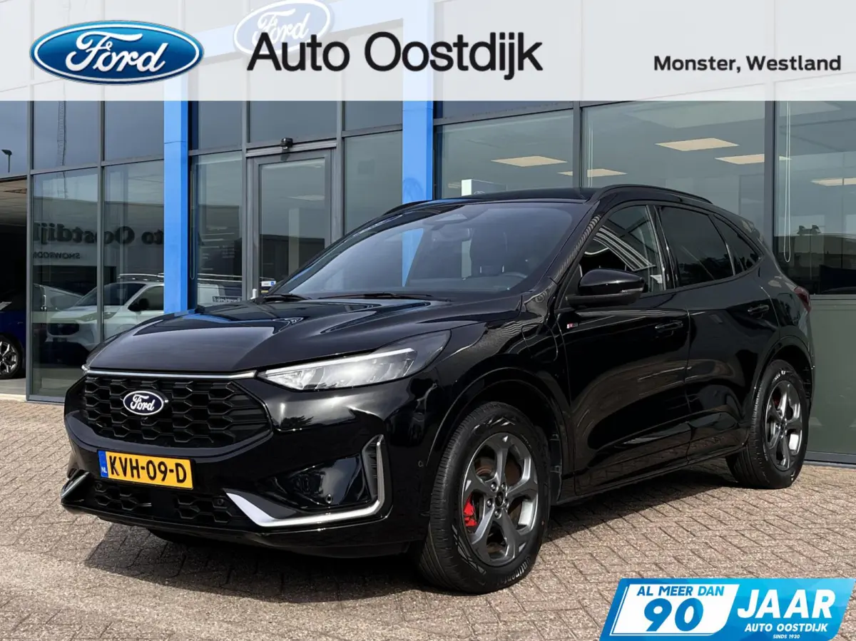 2.5 PHEV ST-Line X 243PK Winterpack Adaptieve Cruise AGR-Stoelen 360-Camera B&O Elek. Achterklep Climate Privacy Glass *2100KG Trekgewicht*