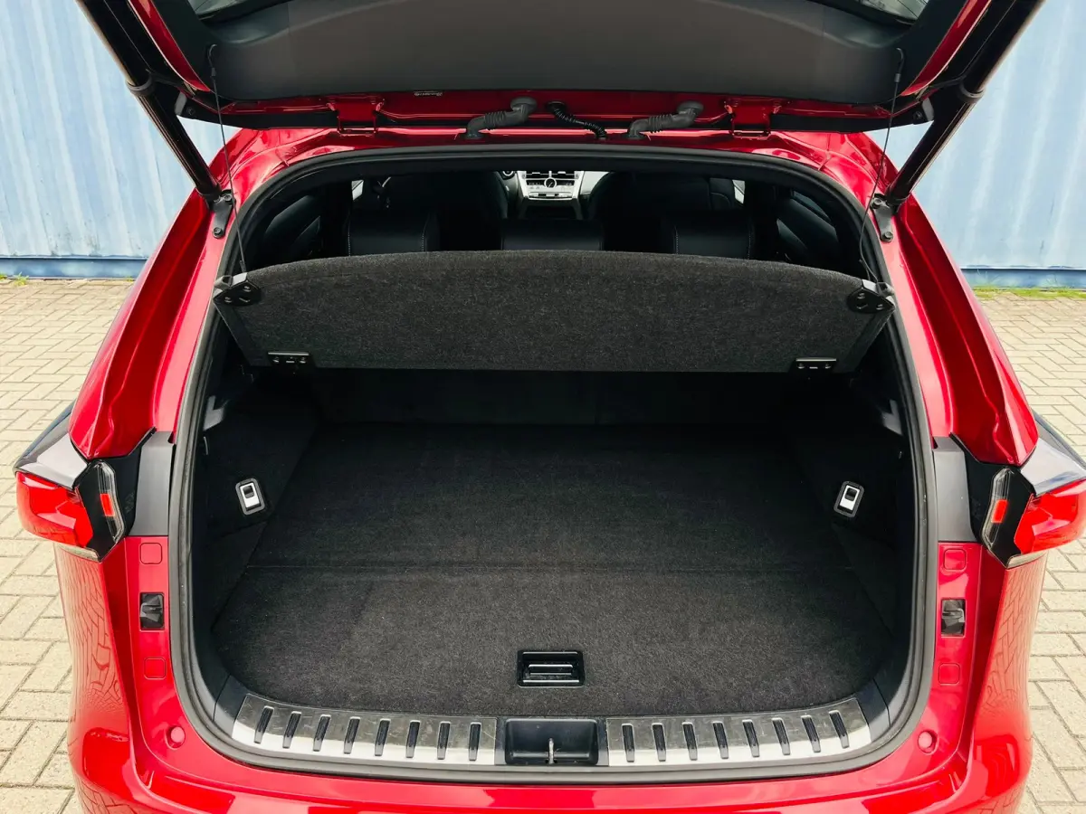 300h AWD F Sport Line Trekhaak | Lederen bekleding | Elektrisch verstelbare stoelen en stuur | Panoramadak