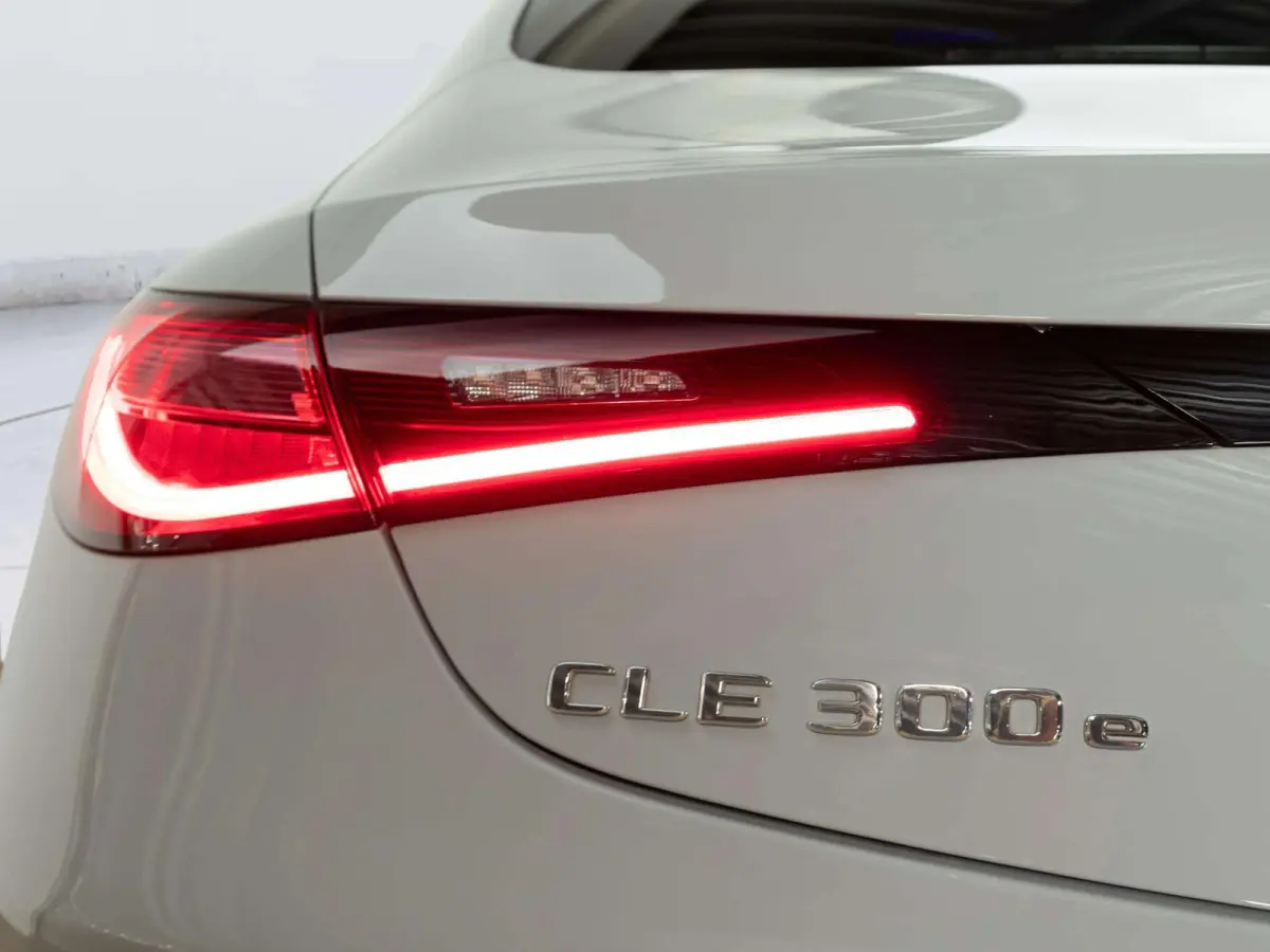 300 e AMG Line | Panorama dak