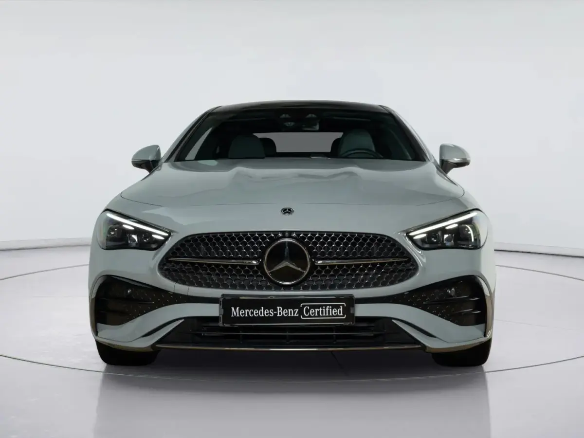 300 e AMG Line | Panorama dak