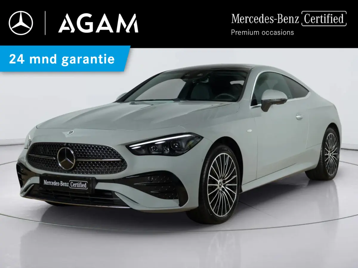 300 e AMG Line | Panorama dak