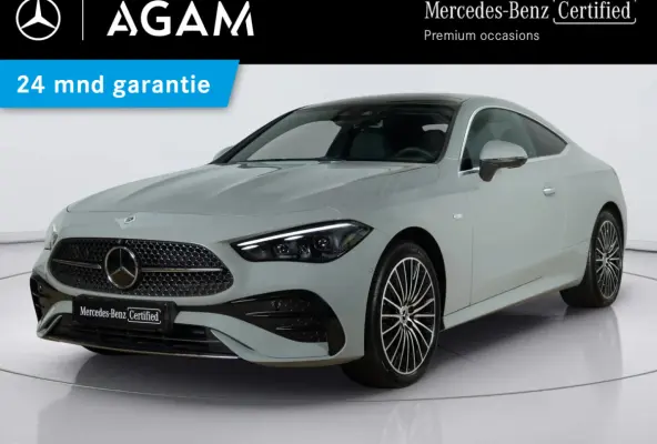 300 e AMG Line | Panorama dak