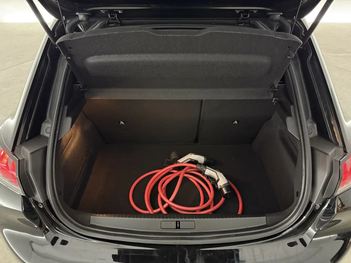 EV Active Pack 50 kWh | Snelladen | SOH 93% | Clima | Cruise | Carplay | LED | NAP