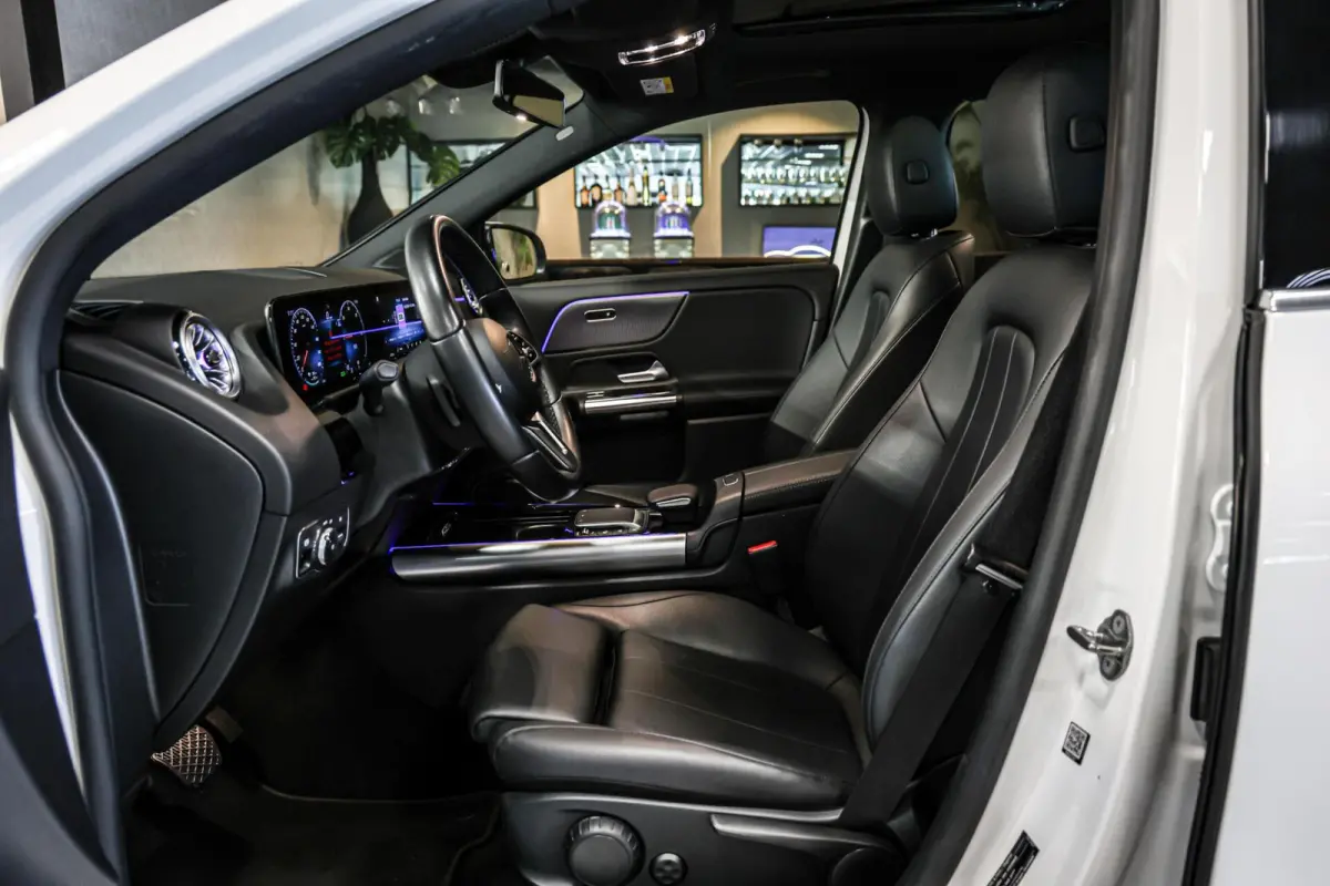 250 Business Solution Luxury 67 kWh SOH 97% CAMERA PANO LEER CARPLAY NAVI ECC.