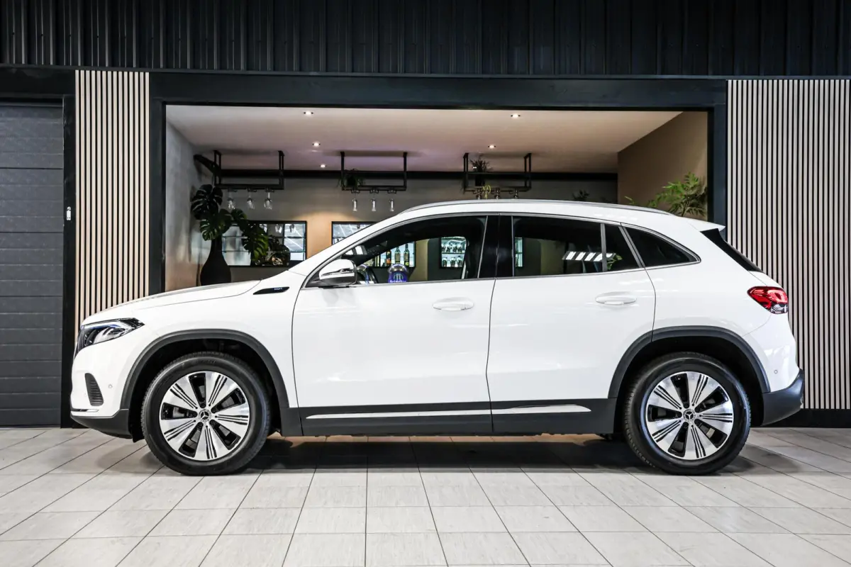 250 Business Solution Luxury 67 kWh SOH 97% CAMERA PANO LEER CARPLAY NAVI ECC.
