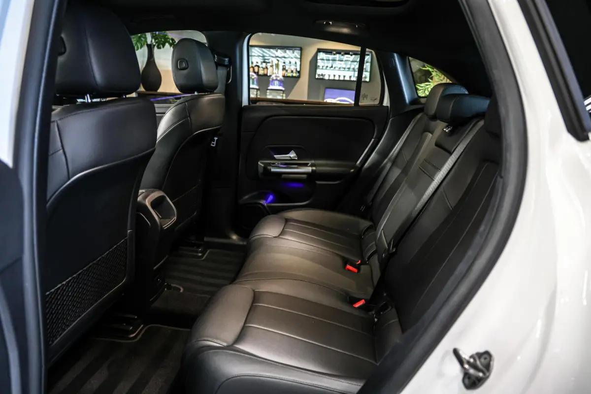 250 Business Solution Luxury 67 kWh SOH 97% CAMERA PANO LEER CARPLAY NAVI ECC.