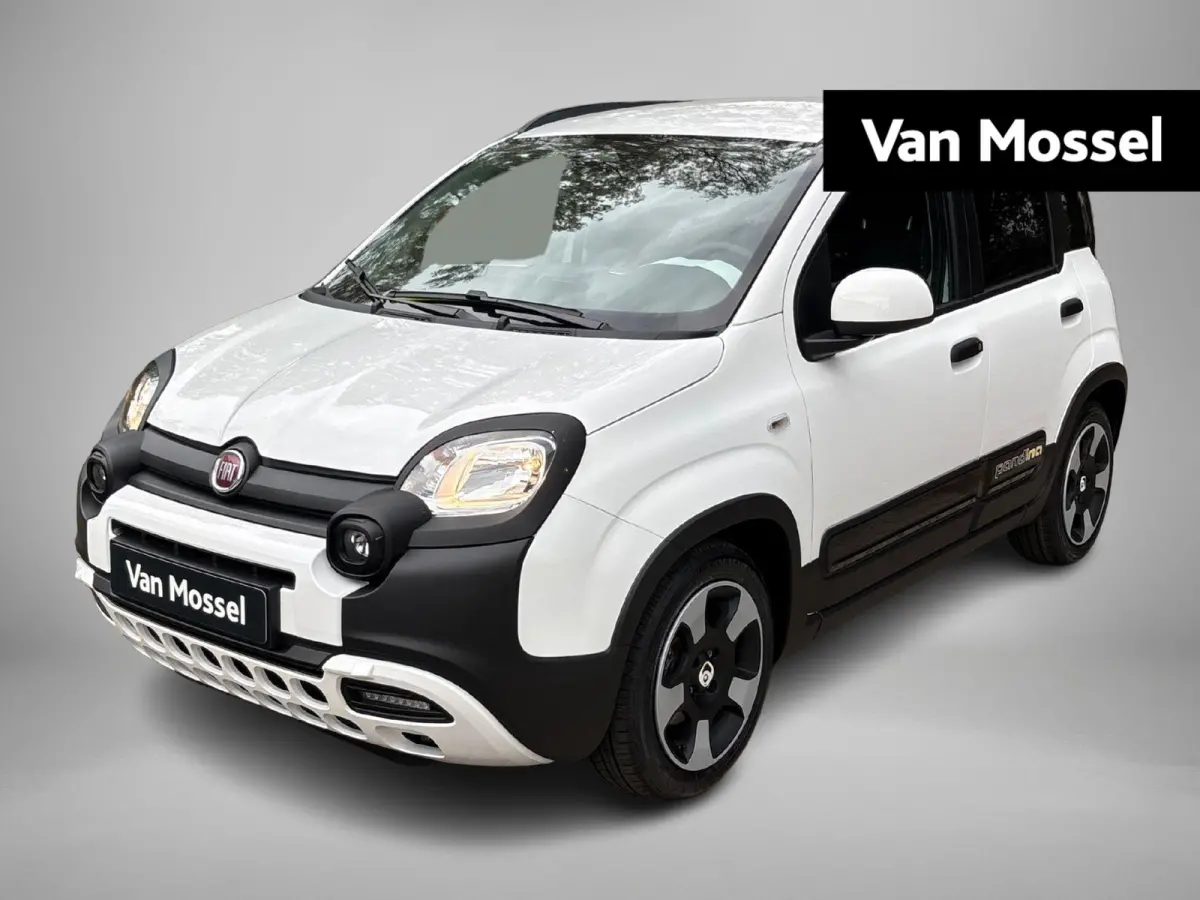 Fiat Pandina 2027 Benzine Handgeschakeld leasen