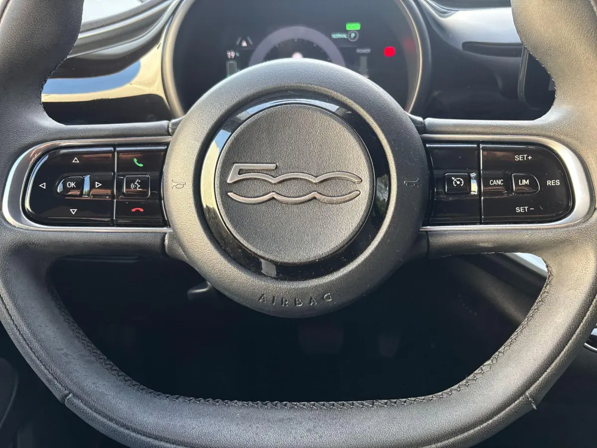 Icon 42 kWh | Camera | Climate control | Stoelverwarming | Navigatie | Cruise Control |
