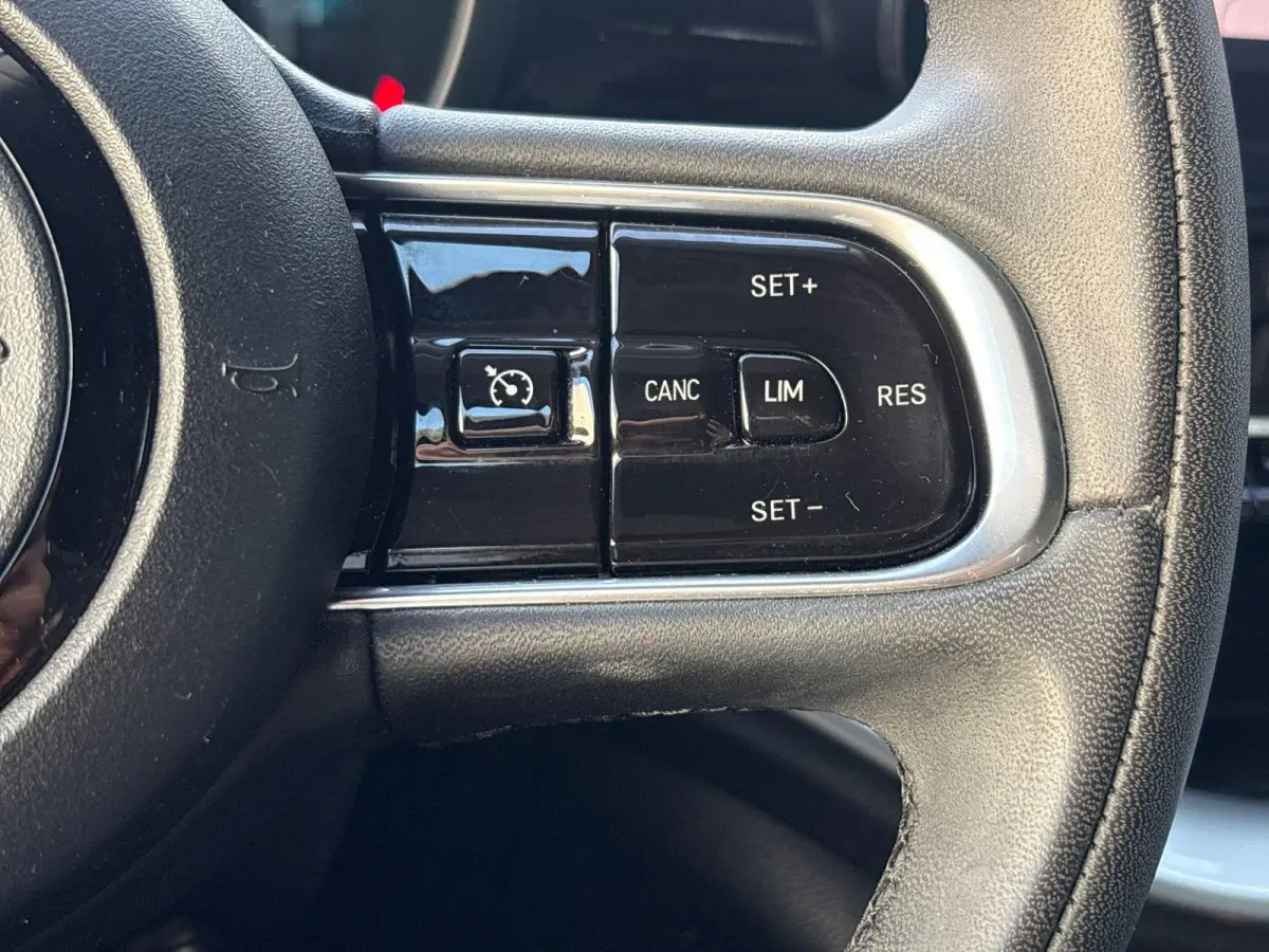 Icon 42 kWh | Camera | Climate control | Stoelverwarming | Navigatie | Cruise Control |