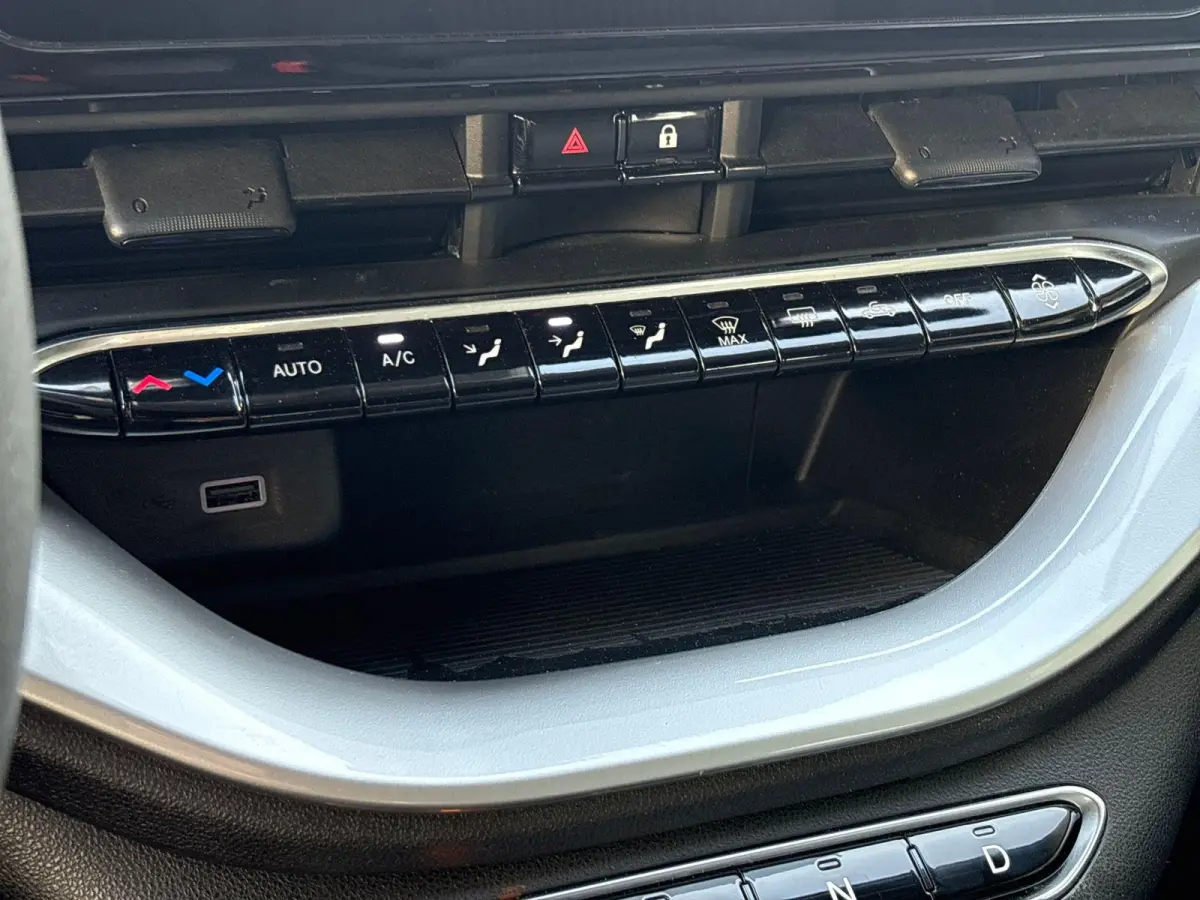 Icon 42 kWh | Camera | Climate control | Stoelverwarming | Navigatie | Cruise Control |