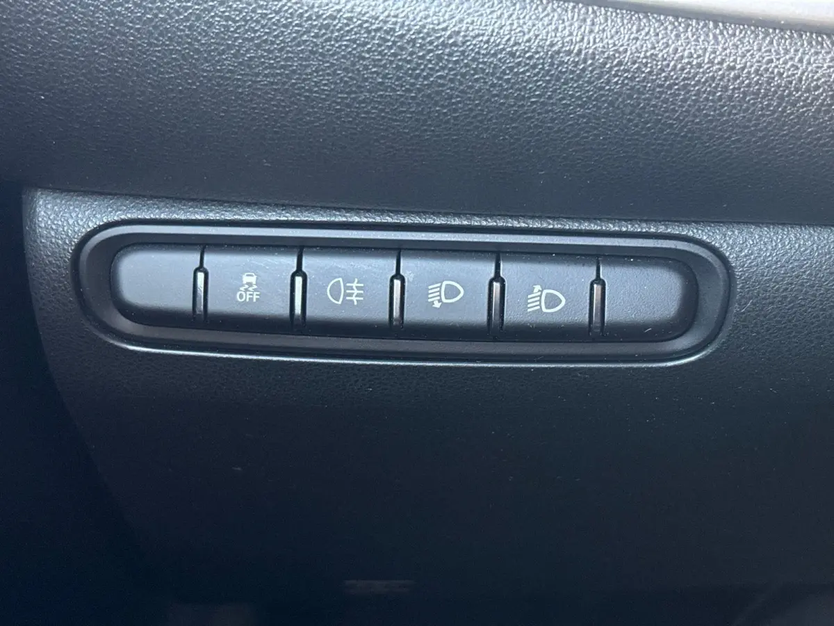 Icon 42 kWh | Camera | Climate control | Stoelverwarming | Navigatie | Cruise Control |