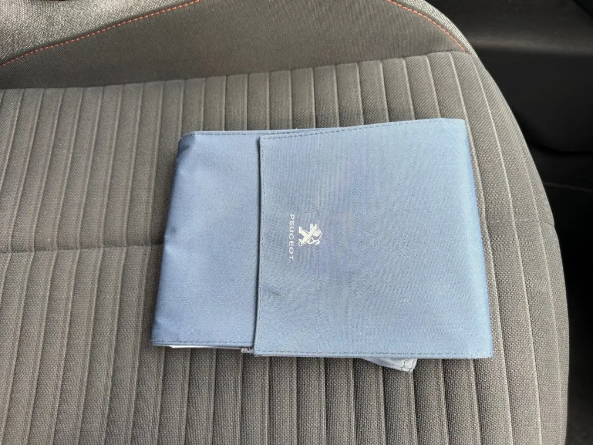 1.2 PT BLUE LEASE ACTIVE 100 PK NAVI AIRCO/ECC PDC