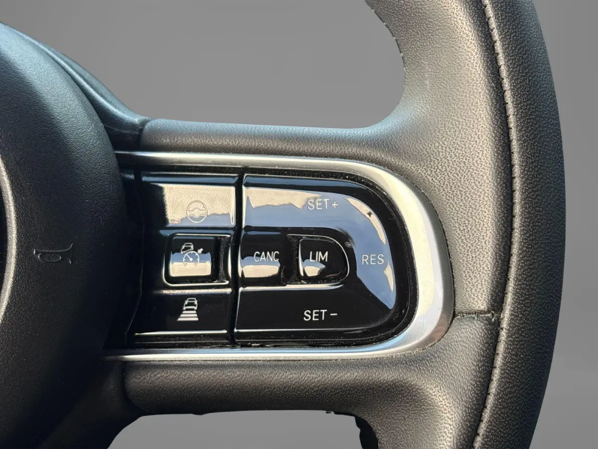 Icon 42 kWh | Parkeersensoren voor+ achter | Navigatie | Climate control | Camera | Adaptive Cruise Control |