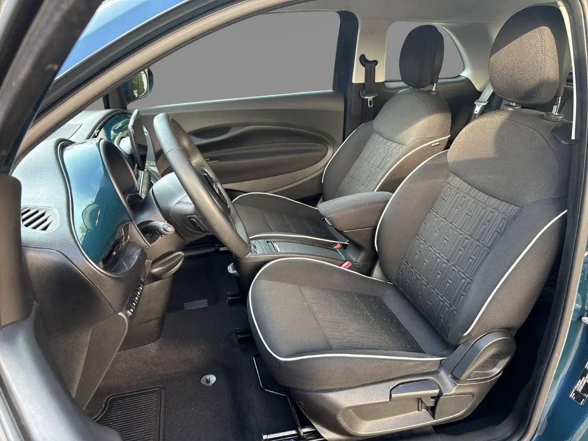 Icon 42 kWh | Parkeersensoren voor+ achter | Navigatie | Climate control | Camera | Adaptive Cruise Control |