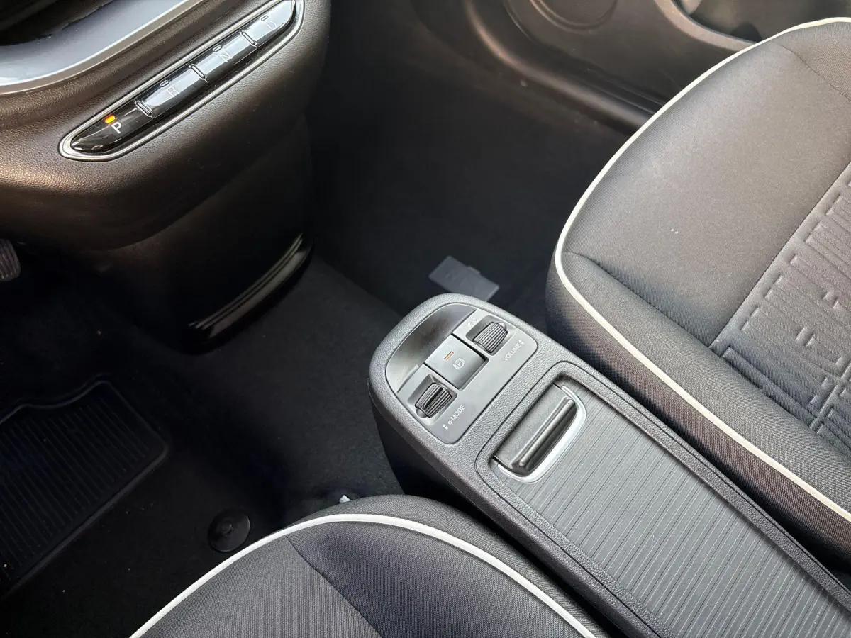 Icon 42 kWh | Parkeersensoren voor+ achter | Navigatie | Climate control | Camera | Adaptive Cruise Control |