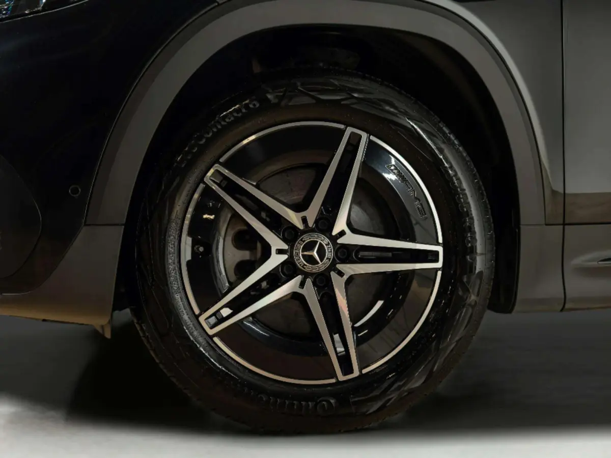 250 AMG Line 67 kWh | Panorama dak