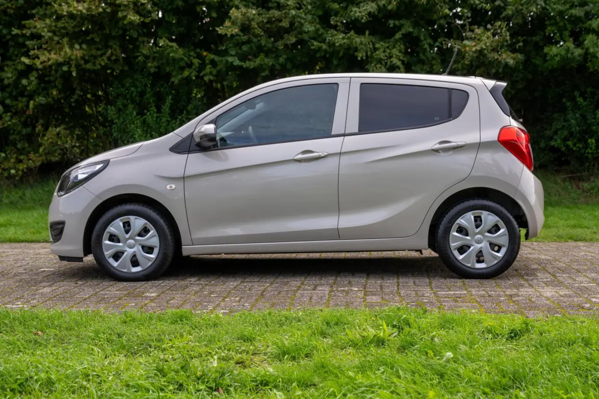 1.0 ecoFLEX Edition Automaat 1e Eig. 26.200 km +NAP NL-auto