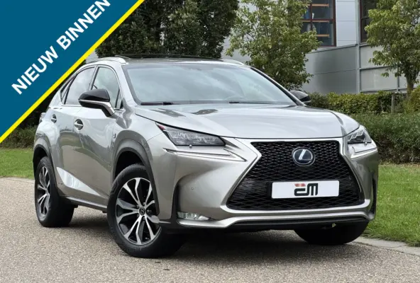 300h AWD F Sport Trekhaak Schuifdak
