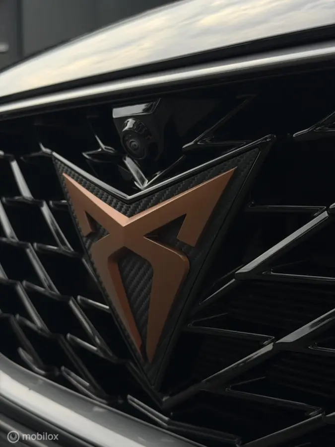 1.4 e-Hybrid VZ Copper|leder|pano|Carplay