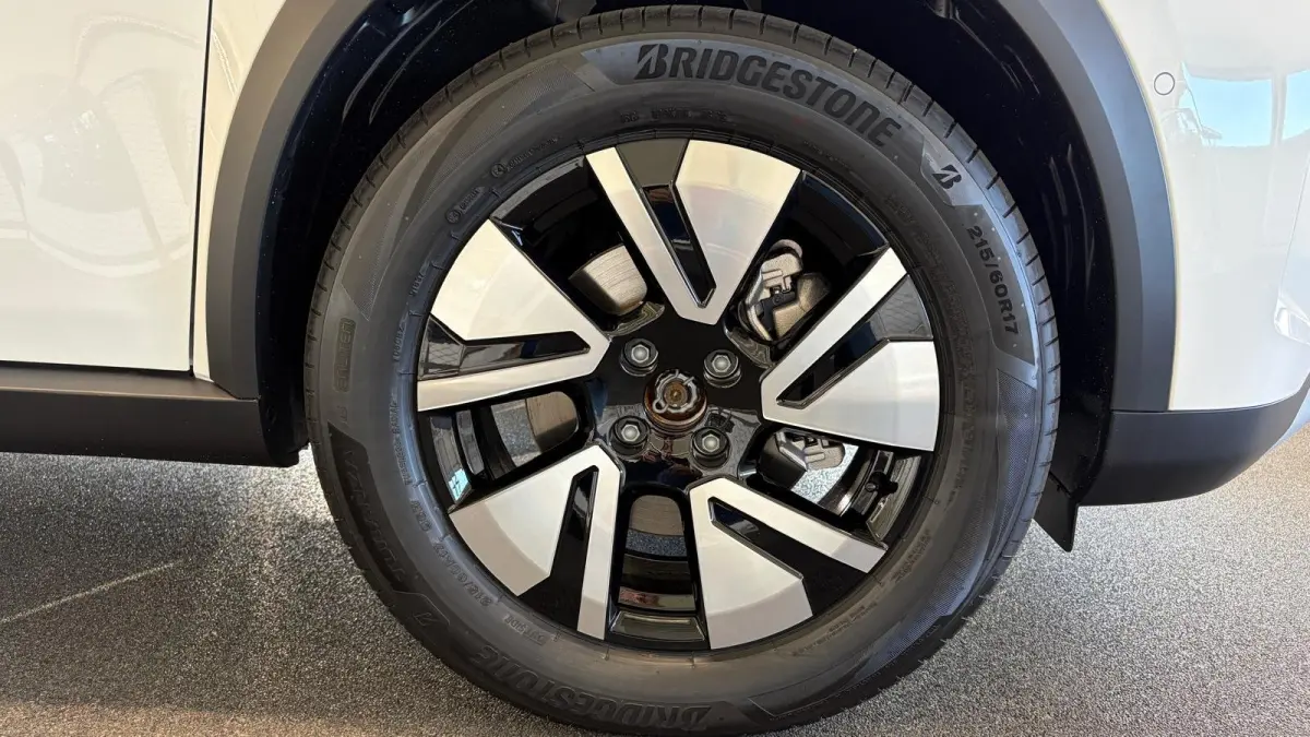 GS | 17" Lichtmetalen velgen in Zwart met 215/60 R17 banden | Dode hoek waarschuwing | LED achterlichten