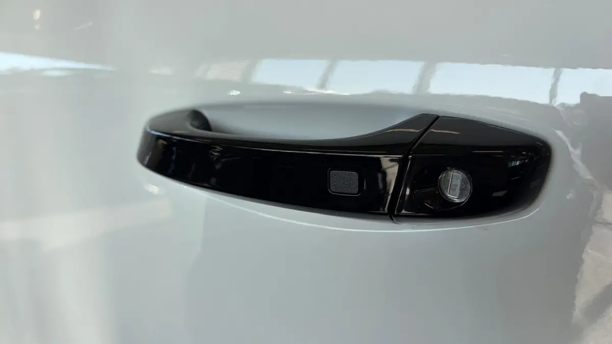 GS | 17" Lichtmetalen velgen in Zwart met 215/60 R17 banden | Dode hoek waarschuwing | LED achterlichten
