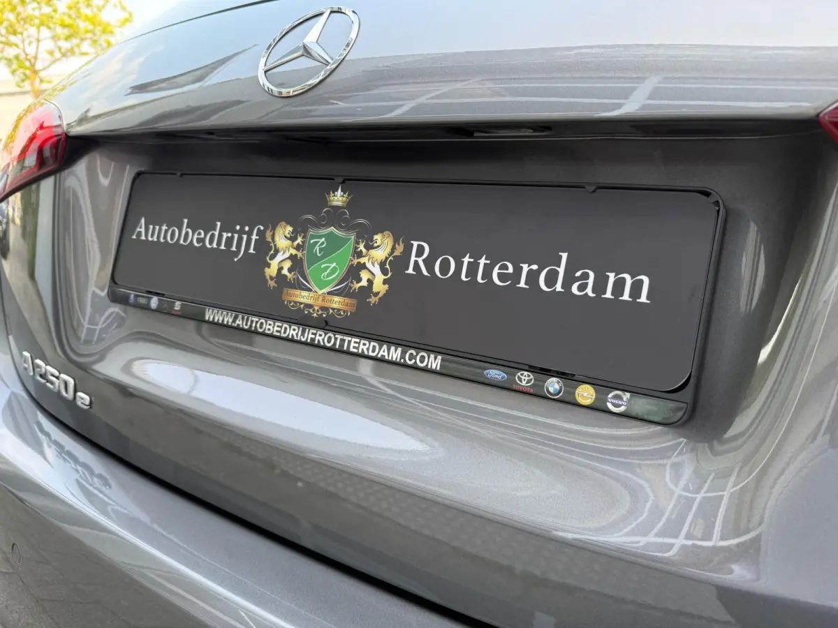 250 e AMG LED/PDC/CAM/LM17/LEER/NAVI