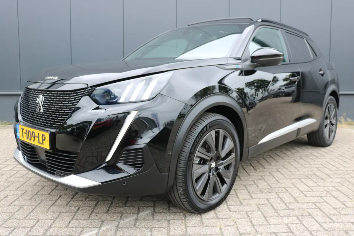 EV GT 50 kWh | Panorama schuif-/kanteldak | Voorstoelen verwarmd | Navi | Camera | Keyless entry/start | Apple Carplay/Android Auto |