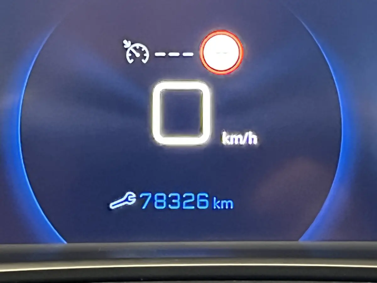 1.2 PureTech Blue Lease Active | Android Auto/Apple Carplay | LM Velgen 16" | Achteruitrijcamera | Cruise Control | Head-Up Display | Airco |