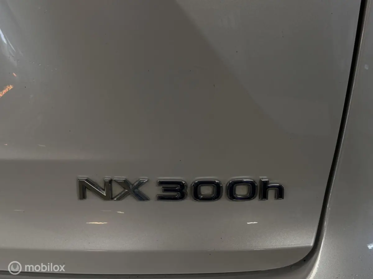 300h AWD F SPORT Luxury Line | DEALER ONDERH CAMERA