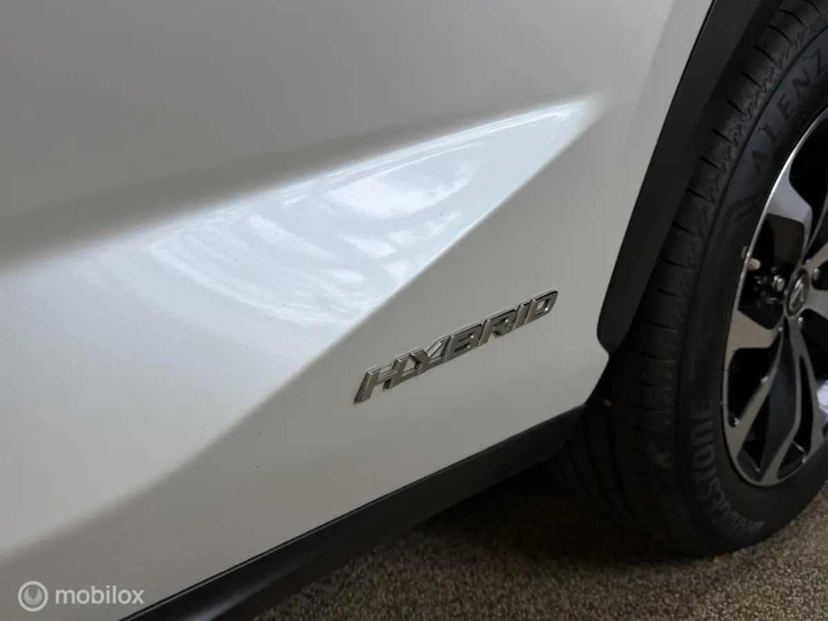 300h AWD F SPORT Luxury Line | DEALER ONDERH CAMERA