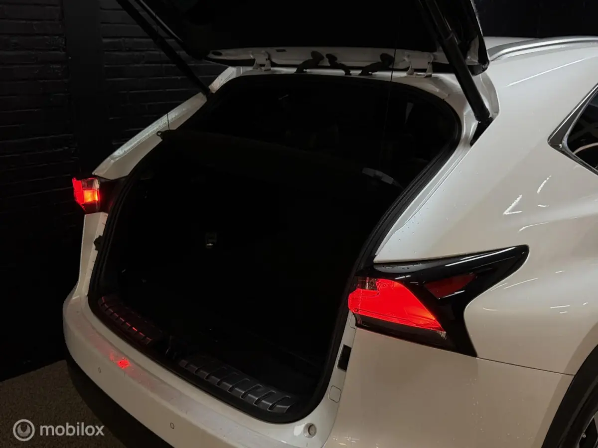 300h AWD F SPORT Luxury Line | DEALER ONDERH CAMERA