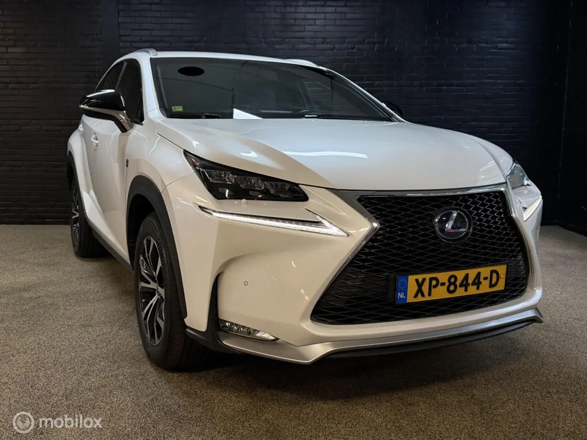 300h AWD F SPORT Luxury Line | DEALER ONDERH CAMERA