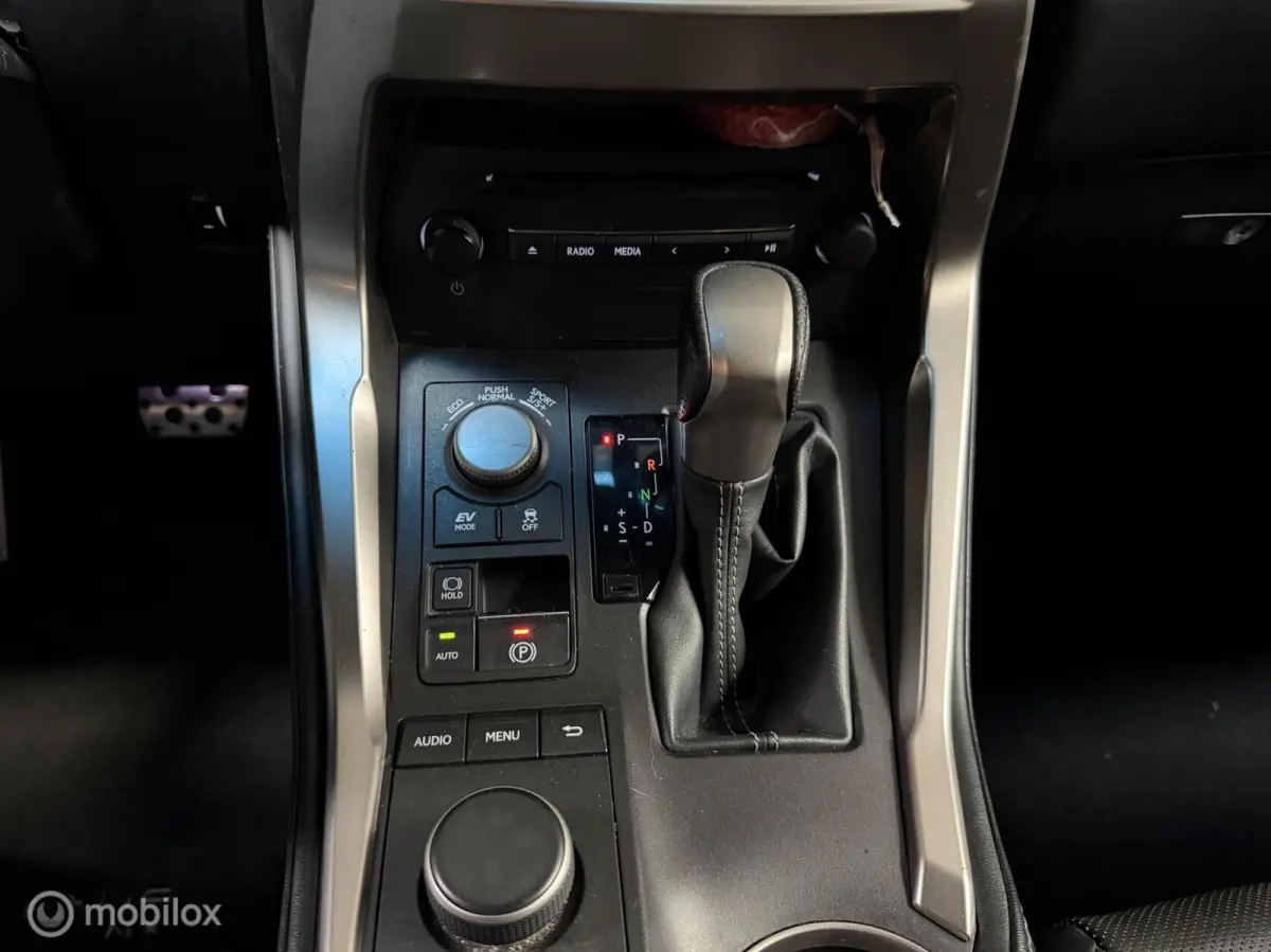 300h AWD F SPORT Luxury Line | DEALER ONDERH CAMERA