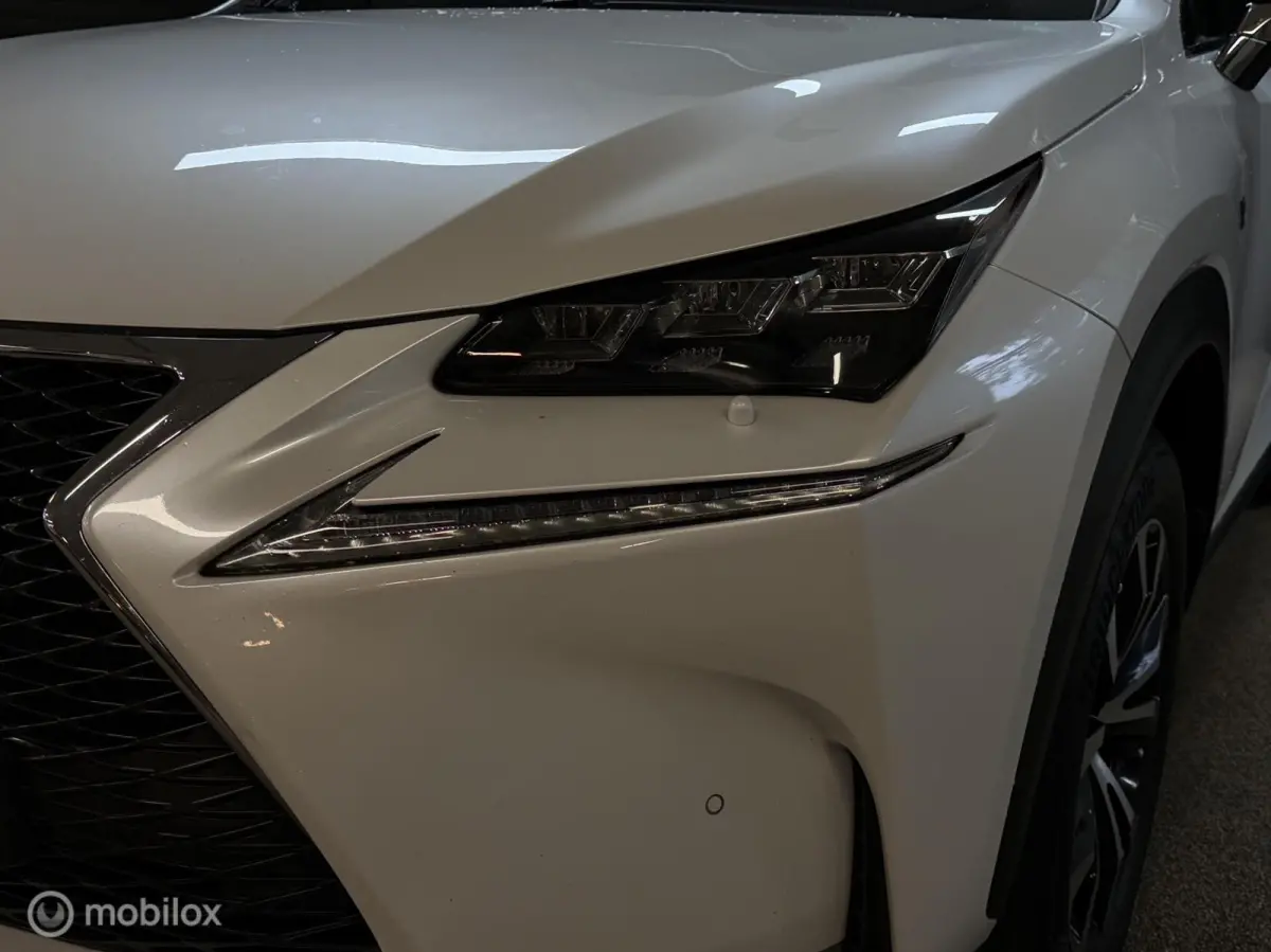 300h AWD F SPORT Luxury Line | DEALER ONDERH CAMERA