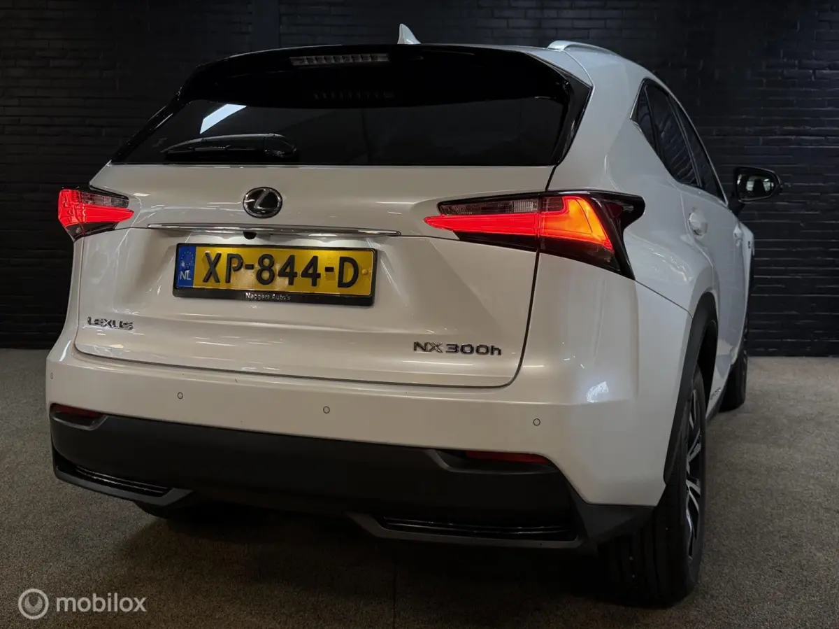 300h AWD F SPORT Luxury Line | DEALER ONDERH CAMERA