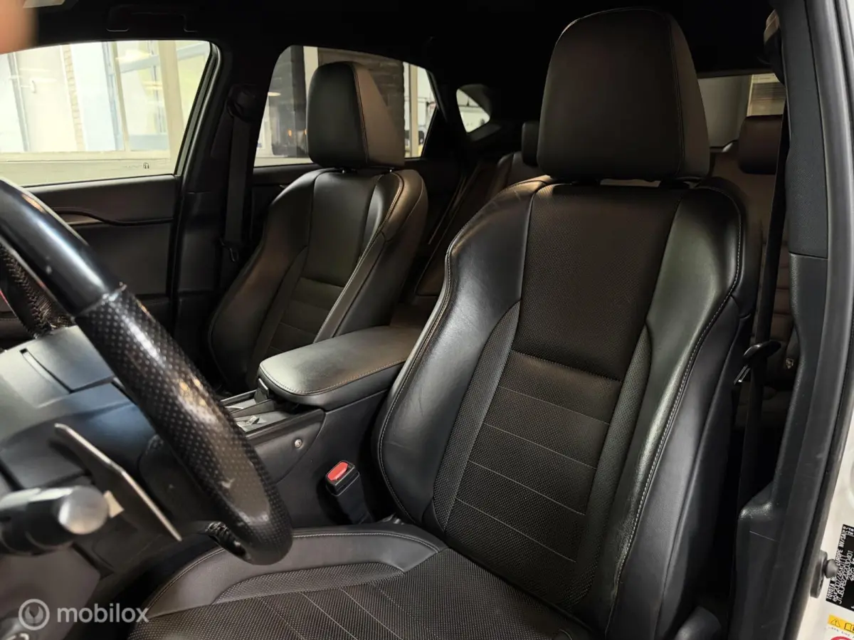 300h AWD F SPORT Luxury Line | DEALER ONDERH CAMERA