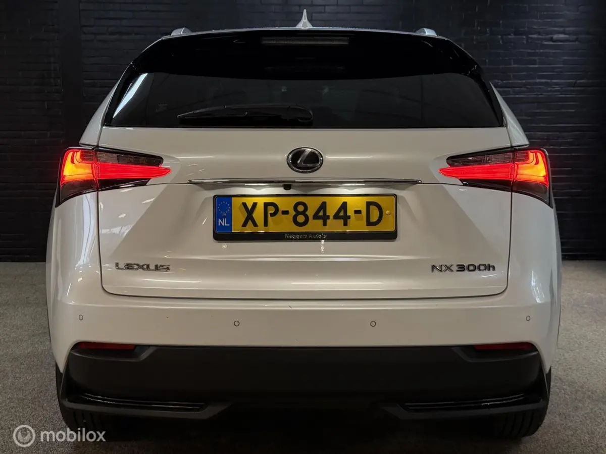 300h AWD F SPORT Luxury Line | DEALER ONDERH CAMERA